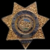 NEVADA HIGHWAY PATROL PIN MINI BADGE PIN